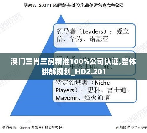 澳门三肖三码精准100%公司认证,整体讲解规划_HD2.201