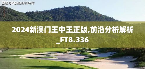 2024新澳门王中王正版,前沿分析解析_FT8.336