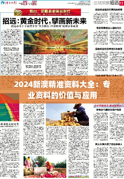 2024新澳精准资料大全：专业资料的价值与应用