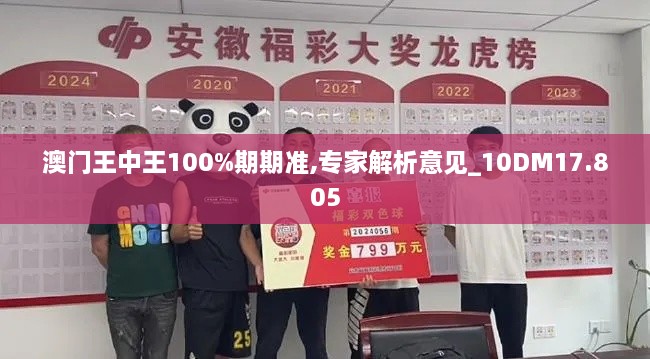 澳门王中王100%期期准,专家解析意见_10DM17.805