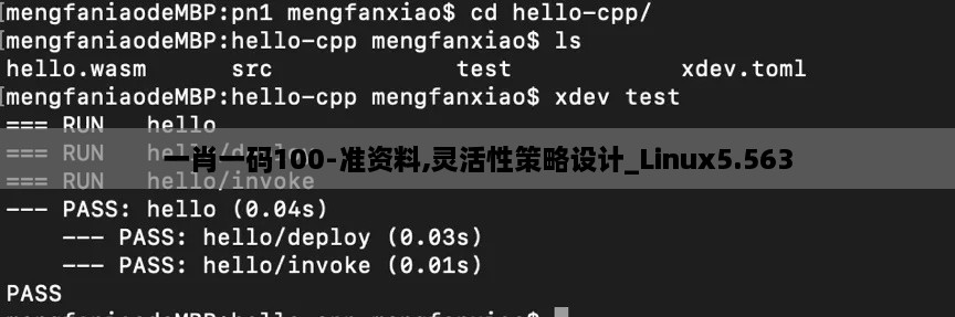 一肖一码100-准资料,灵活性策略设计_Linux5.563