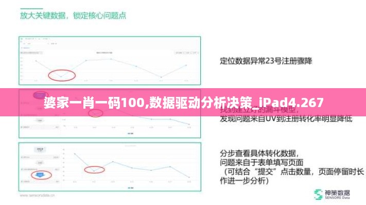 婆家一肖一码100,数据驱动分析决策_iPad4.267