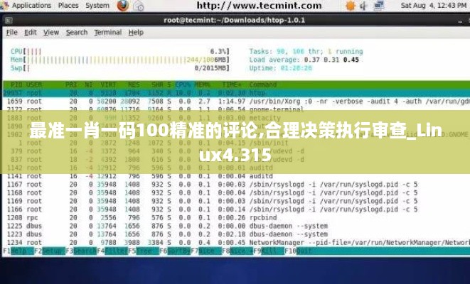 最准一肖一码100精准的评论,合理决策执行审查_Linux4.315