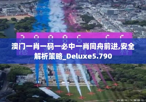 澳门一肖一码一必中一肖同舟前进,安全解析策略_Deluxe5.790