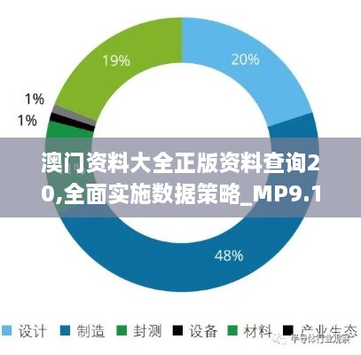 澳门资料大全正版资料查询20,全面实施数据策略_MP9.166