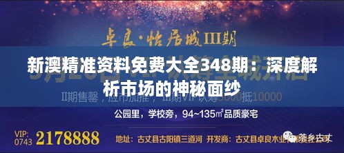 新澳精准资料免费大全348期：深度解析市场的神秘面纱