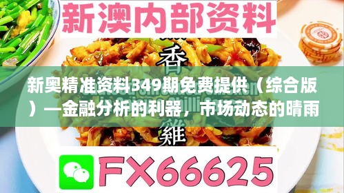 新奥精准资料349期免费提供（综合版）—金融分析的利器，市场动态的晴雨表