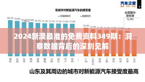 2024新澳最准的免费资料349期：洞察数据背后的深刻见解