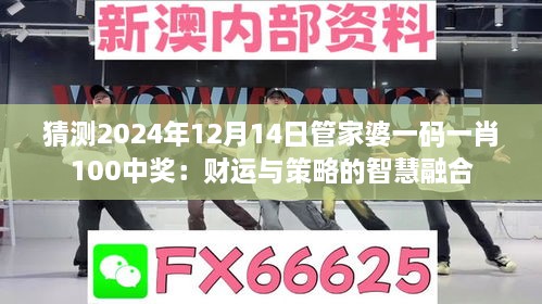 猜测2024年12月14日管家婆一码一肖100中奖：财运与策略的智慧融合