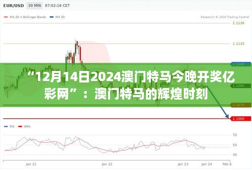 “12月14日2024澳门特马今晚开奖亿彩网”：澳门特马的辉煌时刻