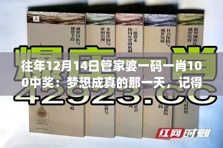 往年12月14日管家婆一码一肖100中奖：梦想成真的那一天，记得那份颤抖的心跳