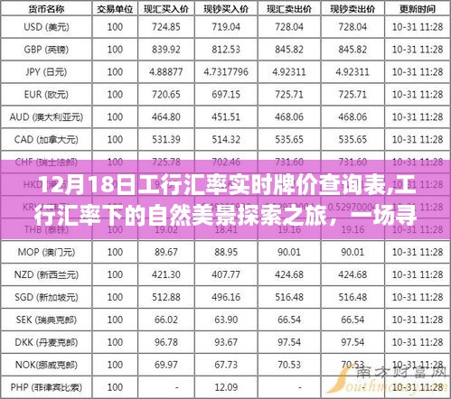 工行汇率实时牌价下的自然美景探索之旅，寻找内心平静的旅程