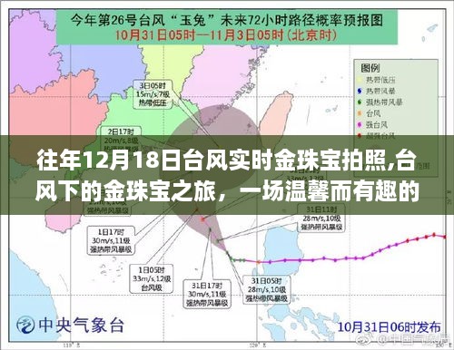 台风下的金珠宝拍照日，温馨有趣的台风实时记录之旅