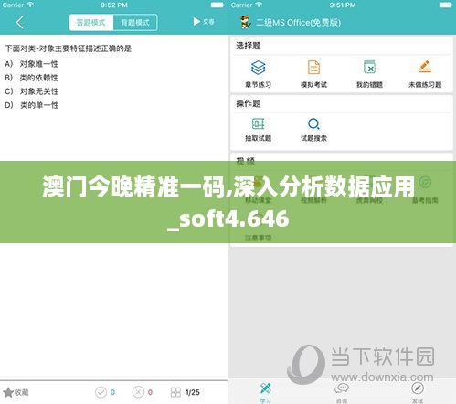 澳门今晚精准一码,深入分析数据应用_soft4.646