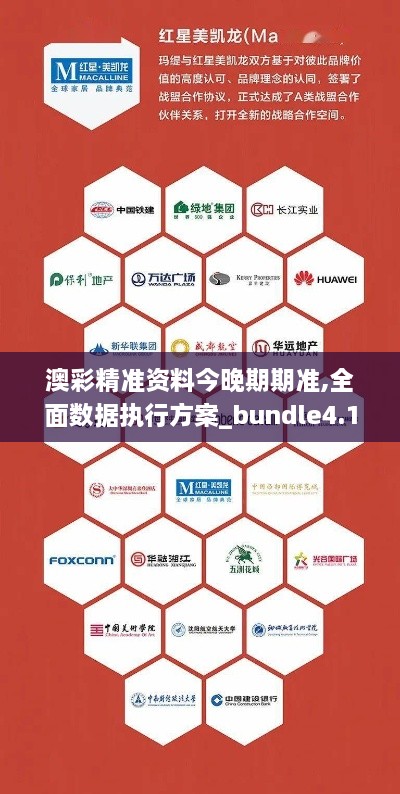 澳彩精准资料今晚期期准,全面数据执行方案_bundle4.112