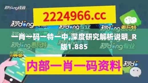 一肖一码一特一中,深度研究解析说明_R版1.885