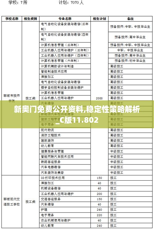 新奥门免费公开资料,稳定性策略解析_C版11.802