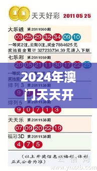 2024年12月19日 第31页