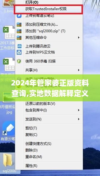 2024年管家婆正版资料查询,实地数据解释定义_专业版10.116