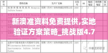 新澳准资料免费提供,实地验证方案策略_挑战版4.750