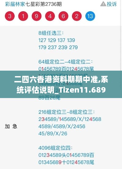 二四六香港资料期期中准,系统评估说明_Tizen11.689