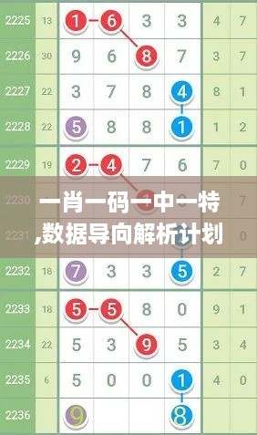 一肖一码一中一特,数据导向解析计划_iPhone7.277