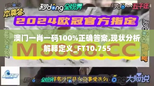 澳门一肖一码100%正确答案,现状分析解释定义_FT10.755