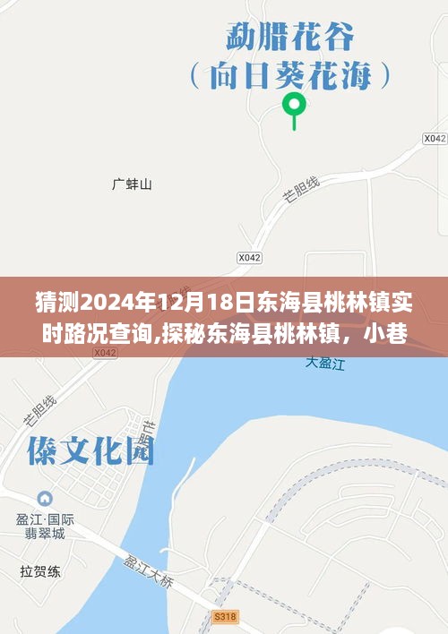 探秘东海县桃林镇，小巷特色小店与实时路况查询之旅