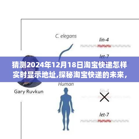 探秘淘宝快递未来，2024年12月18日实时显示地址与神秘小店揭秘