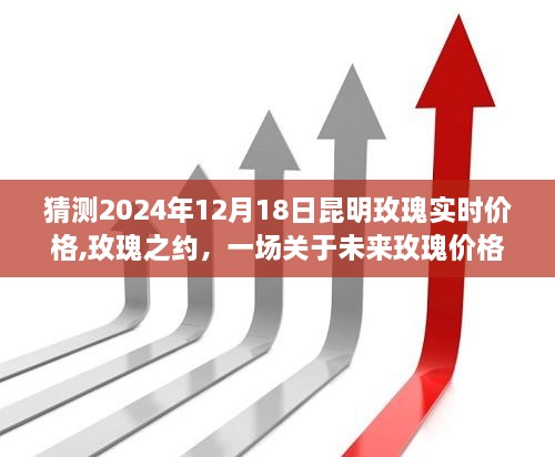 2024年12月21日 第8页