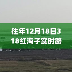 往年12月18日318红海子实时路况深度解析与应对拥堵策略探讨