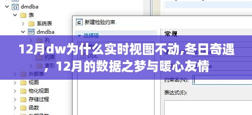 数据之梦与暖心友情的冬日奇遇，揭秘12月DW实时视图不动之谜