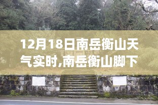 南岳衡山实时天气与隐秘瑰宝小巷特色小店探访记