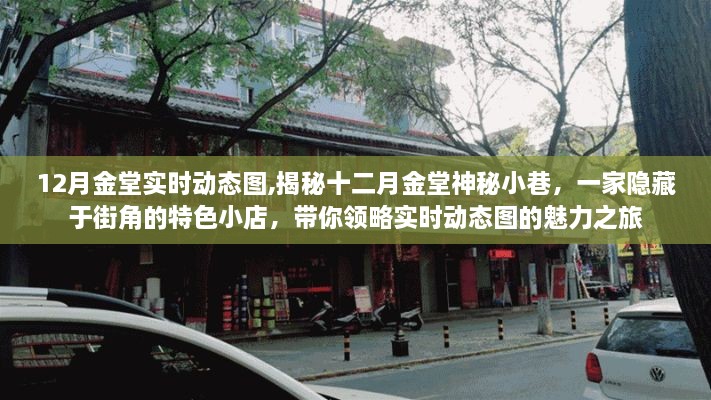 揭秘十二月金堂神秘小巷的特色小店，实时动态图魅力之旅