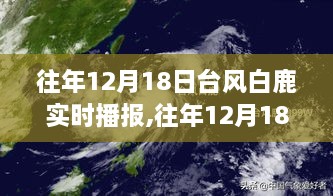 往年12月18日台风白鹿，影响分析、实时播报与多方观点碰撞的个人立场阐述