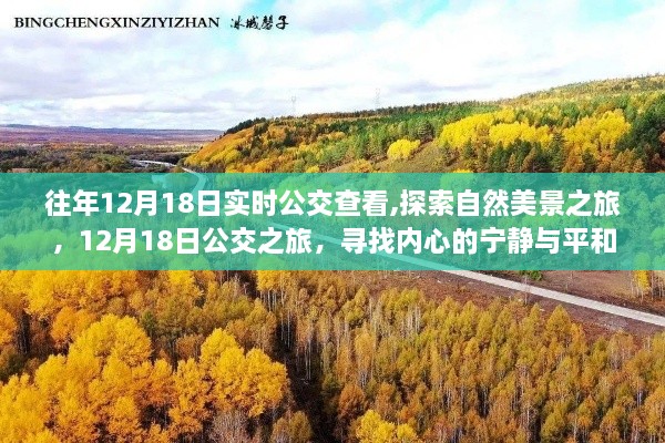 12月18日公交之旅，实时查看与自然美景的完美结合，寻找心灵宁静之旅