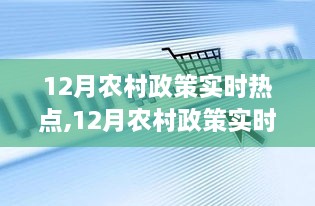 12月农村政策热点深度解析与实时评测