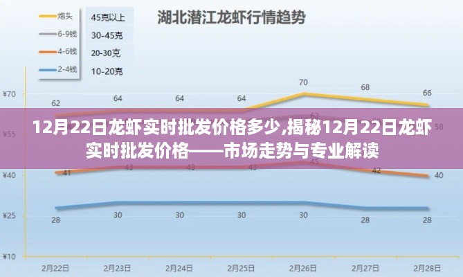 揭秘，12月22日龙虾实时批发价格走势与专业解读