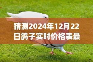 揭秘预测，2024年鸽子市场最新动态与价格走势——实时价格表最新图片分析