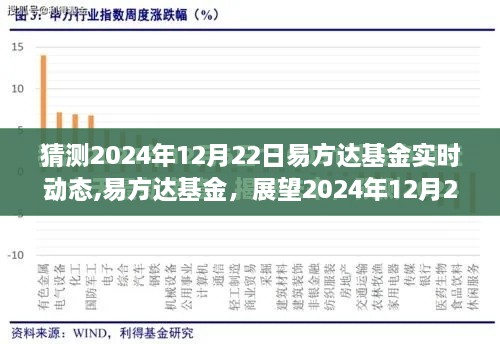 展望2024年12月22日易方达基金的行业领航动态及实时动态分析