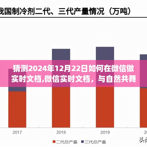 微信实时文档探索，与自然共舞，内心宁静之旅（预测至2024年12月）