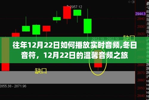 冬日音符之旅，12月22日实时音频的温馨之旅