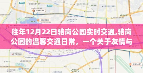 骆岗公园12月22日交通实况，友情与陪伴的温馨日常