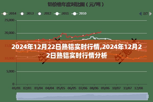 2024年12月22日熟铝实时行情分析与预测