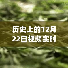 2024年12月25日 第12页