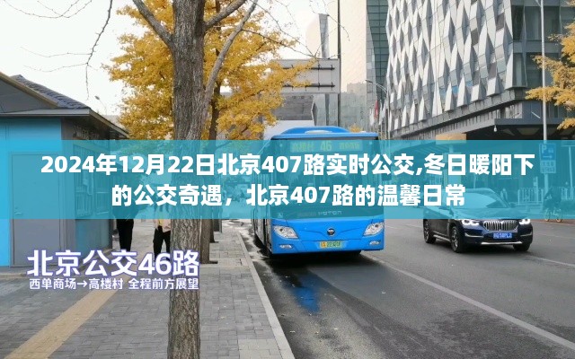 冬日暖阳下的公交奇遇，北京407路温馨日常实时播报