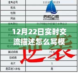 12月22日实时交流描述模板，高效沟通的艺术与技巧全解析