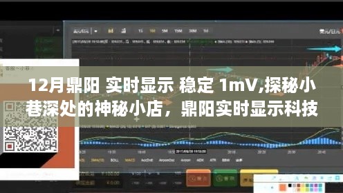 探秘小巷深处的神秘小店，鼎阳实时显示科技——稳定至上，细节之美展示