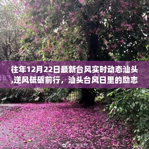 汕头逆风砥砺前行，台风日下的励志故事与变化成就自信之光