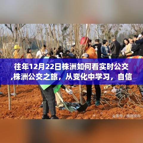 株洲公交之旅，实时追踪与变化中的自信与成就感诞生之路